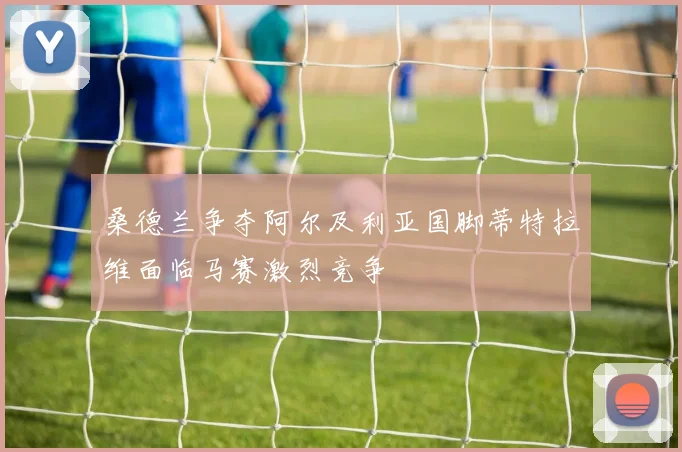 桑德兰争夺阿尔及利亚国脚蒂特拉维面临马赛激烈竞争